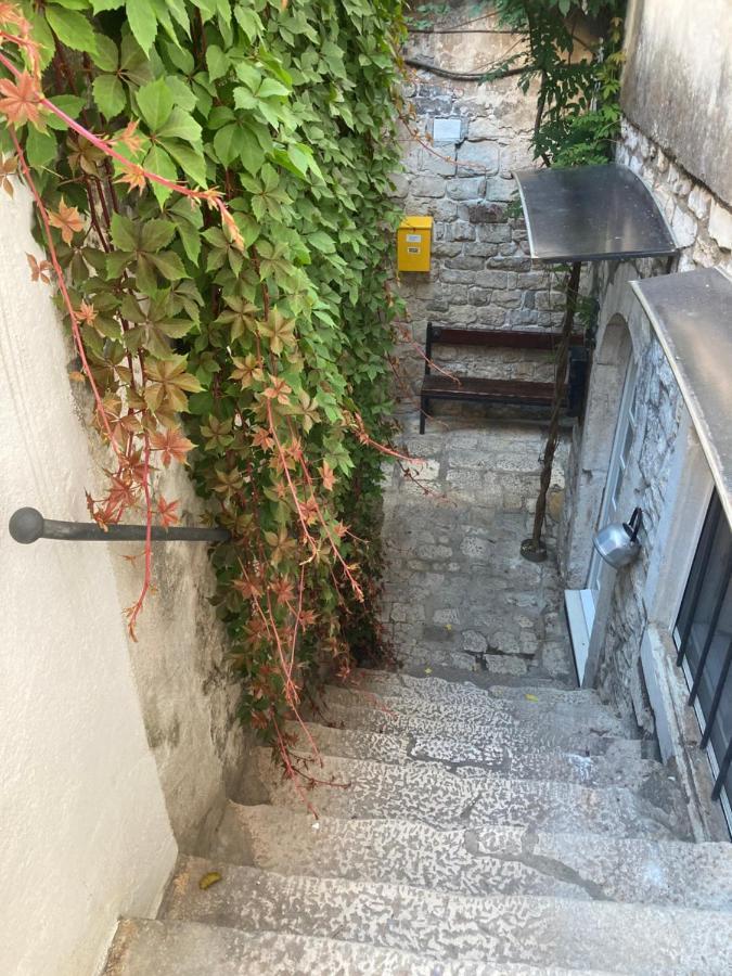טרוגיר Dragazzo Apartment מראה חיצוני תמונה