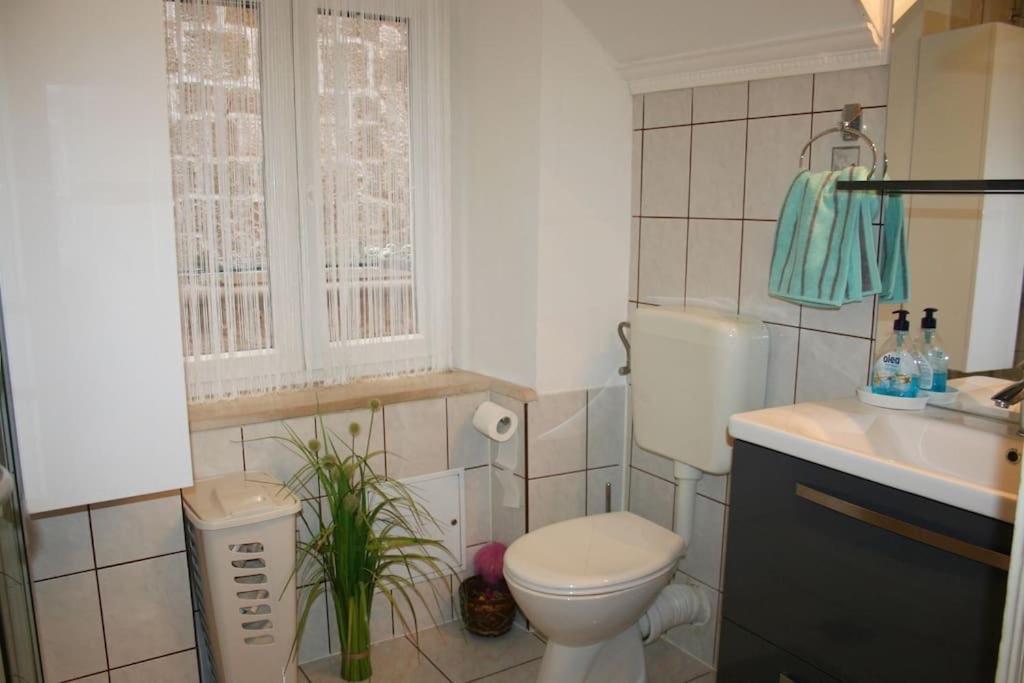 טרוגיר Dragazzo Apartment מראה חיצוני תמונה